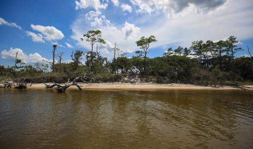 Photo #15 of SOLD property in 100 Davis Beach, Mashoes, NC 541.0 acres