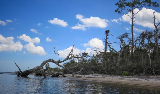 Photo #16 of SOLD property in 100 Davis Beach, Mashoes, NC 541.0 acres