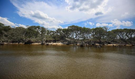 Photo #18 of SOLD property in 100 Davis Beach, Mashoes, NC 541.0 acres