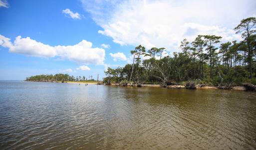 Photo #19 of SOLD property in 100 Davis Beach, Mashoes, NC 541.0 acres