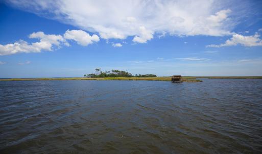 Photo #20 of SOLD property in 100 Davis Beach, Mashoes, NC 541.0 acres