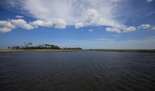 Photo #21 of SOLD property in 100 Davis Beach, Mashoes, NC 541.0 acres