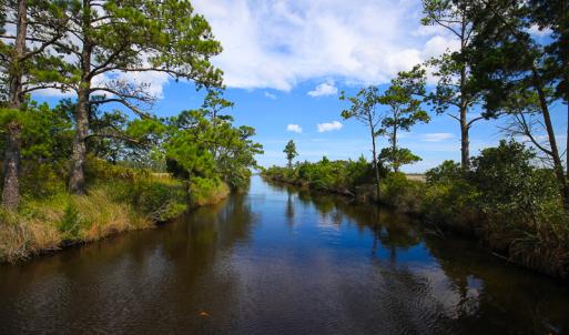 Photo #22 of SOLD property in 100 Davis Beach, Mashoes, NC 541.0 acres
