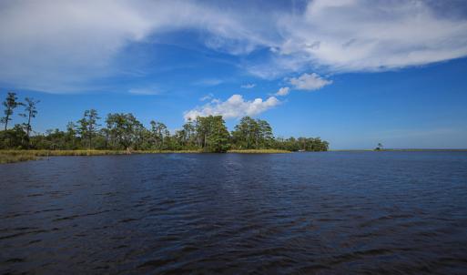 Photo #23 of SOLD property in 100 Davis Beach, Mashoes, NC 541.0 acres