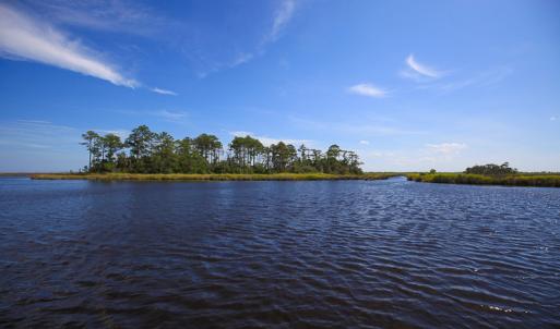 Photo #24 of SOLD property in 100 Davis Beach, Mashoes, NC 541.0 acres