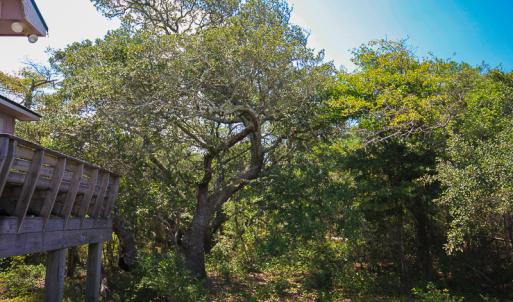 Photo #49 of SOLD property in 100 Davis Beach, Mashoes, NC 541.0 acres