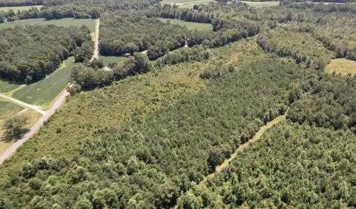 Photo #30 of SOLD property in 650 Sharp Point Road, Macclesfield, NC 9.4 acres