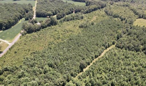 Photo #31 of SOLD property in 650 Sharp Point Road, Macclesfield, NC 9.4 acres