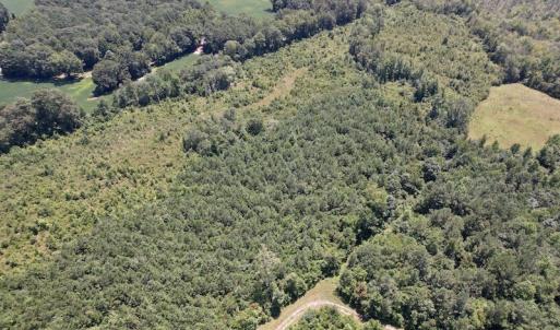 Photo #32 of SOLD property in 650 Sharp Point Road, Macclesfield, NC 9.4 acres