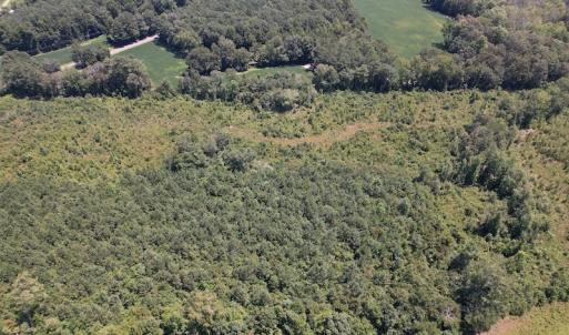 Photo #33 of SOLD property in 650 Sharp Point Road, Macclesfield, NC 9.4 acres