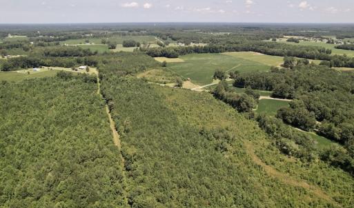 Photo #34 of SOLD property in 650 Sharp Point Road, Macclesfield, NC 9.4 acres