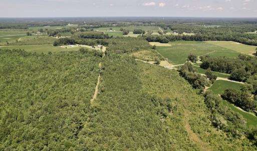 Photo #35 of SOLD property in 650 Sharp Point Road, Macclesfield, NC 9.4 acres