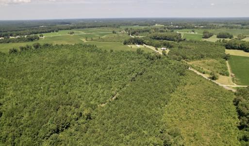 Photo #36 of SOLD property in 650 Sharp Point Road, Macclesfield, NC 9.4 acres