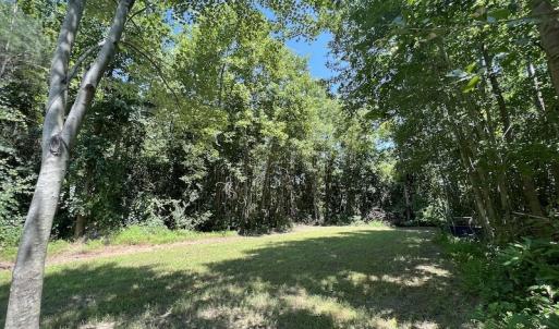 Photo #40 of SOLD property in 650 Sharp Point Road, Macclesfield, NC 9.4 acres
