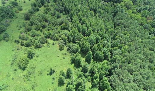 Photo #13 of Off Meredithville Drive - Lot 8, Brodnax, VA 3.5 acres
