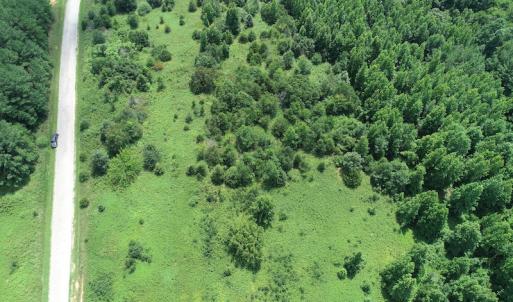 Photo #14 of Off Meredithville Drive - Lot 8, Brodnax, VA 3.5 acres