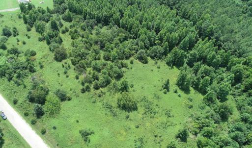 Photo #15 of Off Meredithville Drive - Lot 8, Brodnax, VA 3.5 acres