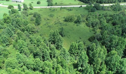 Photo #18 of Off Meredithville Drive - Lot 8, Brodnax, VA 3.5 acres