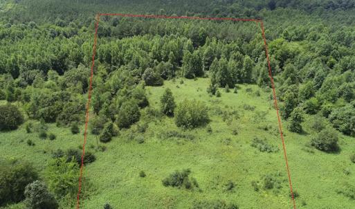 Photo #3 of Off Meredithville Drive - Lot 8, Brodnax, VA 3.5 acres