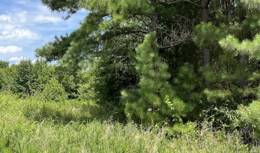 Photo #21 of Off Meredithville Drive - Lot 8, Brodnax, VA 3.5 acres