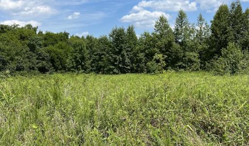 Photo #22 of Off Meredithville Drive - Lot 8, Brodnax, VA 3.5 acres