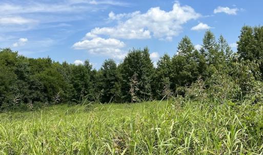 Photo #23 of Off Meredithville Drive - Lot 8, Brodnax, VA 3.5 acres