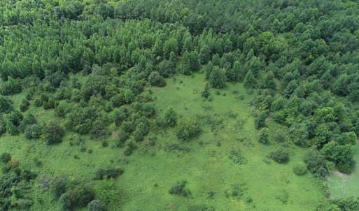 Photo #4 of Off Meredithville Drive - Lot 8, Brodnax, VA 3.5 acres