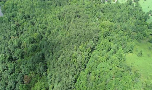 Photo #7 of Off Meredithville Drive - Lot 8, Brodnax, VA 3.5 acres