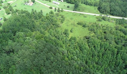 Photo #8 of Off Meredithville Drive - Lot 8, Brodnax, VA 3.5 acres