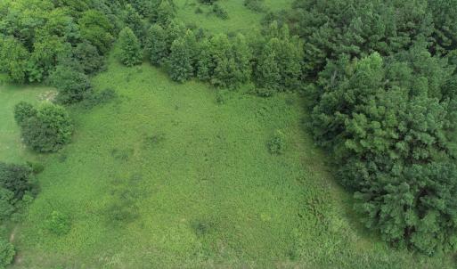 Photo #11 of Off Meredithville Drive - Lot 12, Brodnax, VA 3.6 acres