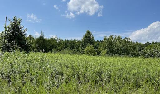 Photo #16 of Off Meredithville Drive - Lot 12, Brodnax, VA 3.6 acres