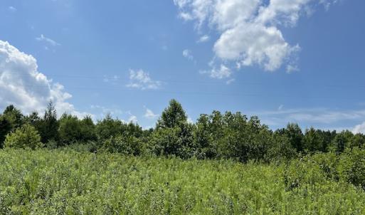 Photo #18 of Off Meredithville Drive - Lot 12, Brodnax, VA 3.6 acres