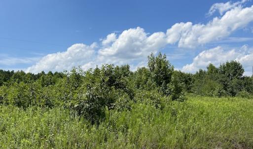 Photo #19 of Off Meredithville Drive - Lot 12, Brodnax, VA 3.6 acres