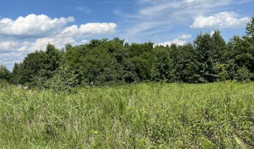 Photo #21 of Off Meredithville Drive - Lot 12, Brodnax, VA 3.6 acres