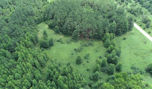 Photo #5 of Off Meredithville Drive - Lot 12, Brodnax, VA 3.6 acres
