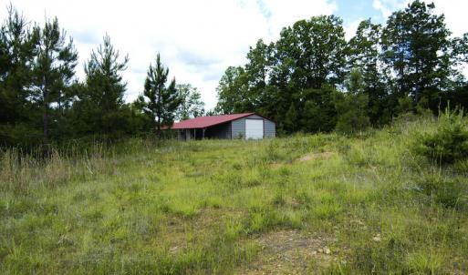 Photo #3 of SOLD property in Off Hillbilly Trail, Nathalie, VA 44.9 acres
