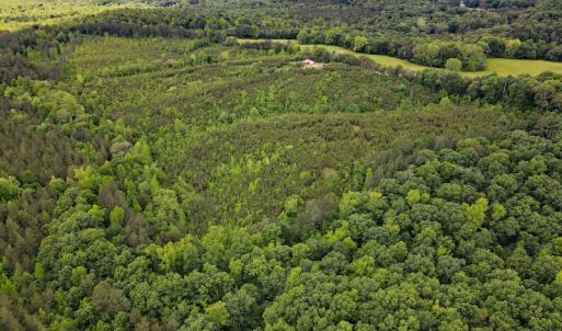 Photo #25 of SOLD property in Off Hillbilly Trail, Nathalie, VA 44.9 acres