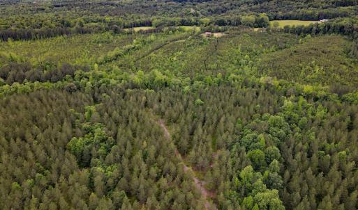 Photo #26 of SOLD property in Off Hillbilly Trail, Nathalie, VA 44.9 acres
