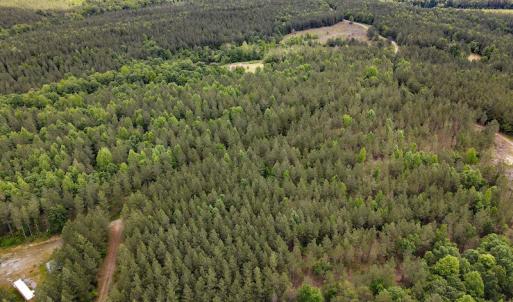 Photo #27 of SOLD property in Off Hillbilly Trail, Nathalie, VA 44.9 acres