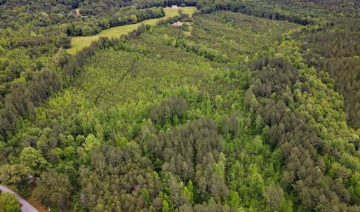 Photo #28 of SOLD property in Off Hillbilly Trail, Nathalie, VA 44.9 acres