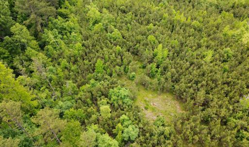 Photo #31 of SOLD property in Off Hillbilly Trail, Nathalie, VA 44.9 acres