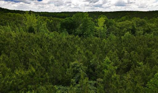 Photo #32 of SOLD property in Off Hillbilly Trail, Nathalie, VA 44.9 acres