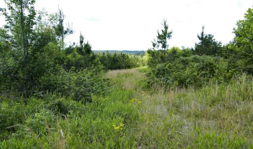 Photo #33 of SOLD property in Off Hillbilly Trail, Nathalie, VA 44.9 acres