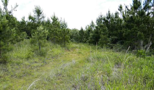 Photo #34 of SOLD property in Off Hillbilly Trail, Nathalie, VA 44.9 acres