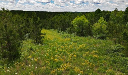 Photo #35 of SOLD property in Off Hillbilly Trail, Nathalie, VA 44.9 acres