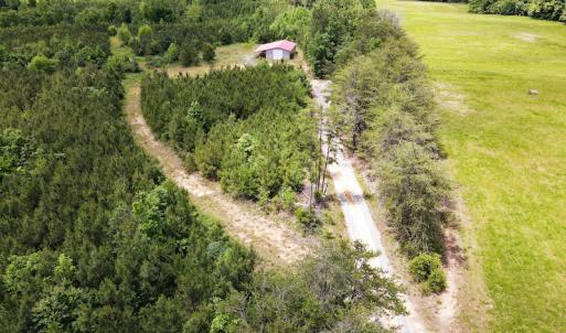 Photo #39 of SOLD property in Off Hillbilly Trail, Nathalie, VA 44.9 acres