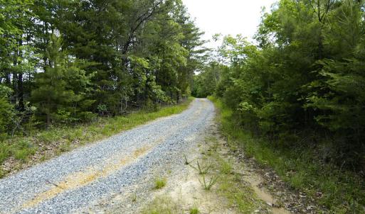 Photo #40 of SOLD property in Off Hillbilly Trail, Nathalie, VA 44.9 acres