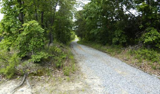 Photo #41 of SOLD property in Off Hillbilly Trail, Nathalie, VA 44.9 acres
