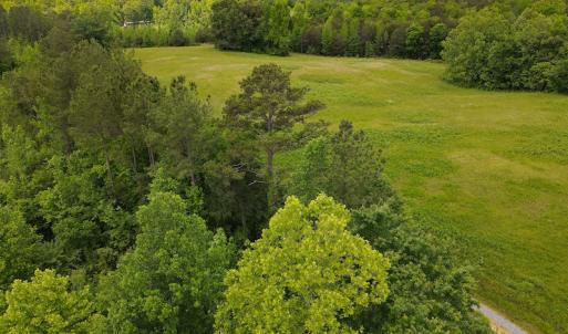 Photo #42 of SOLD property in Off Hillbilly Trail, Nathalie, VA 44.9 acres