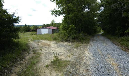 Photo #5 of SOLD property in Off Hillbilly Trail, Nathalie, VA 44.9 acres